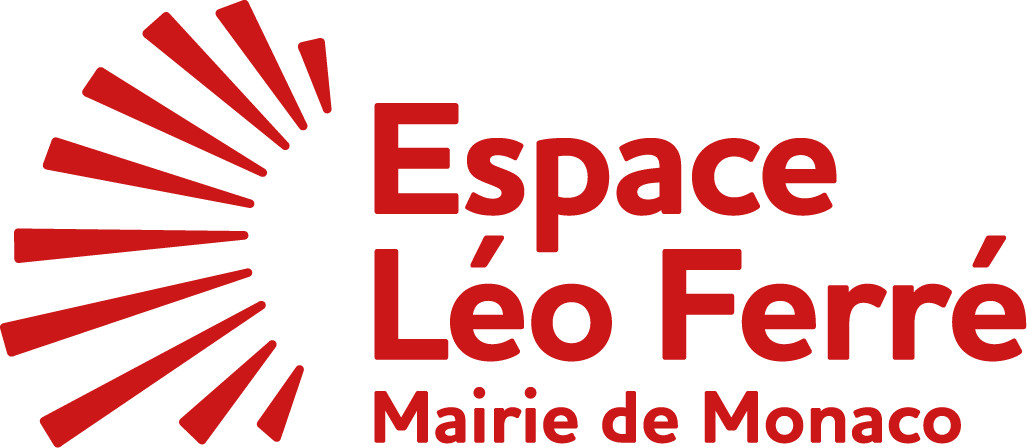 Icône de section importante