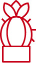 Icône de section importante