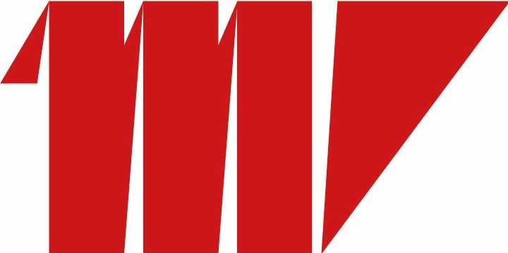 Icône de section importante