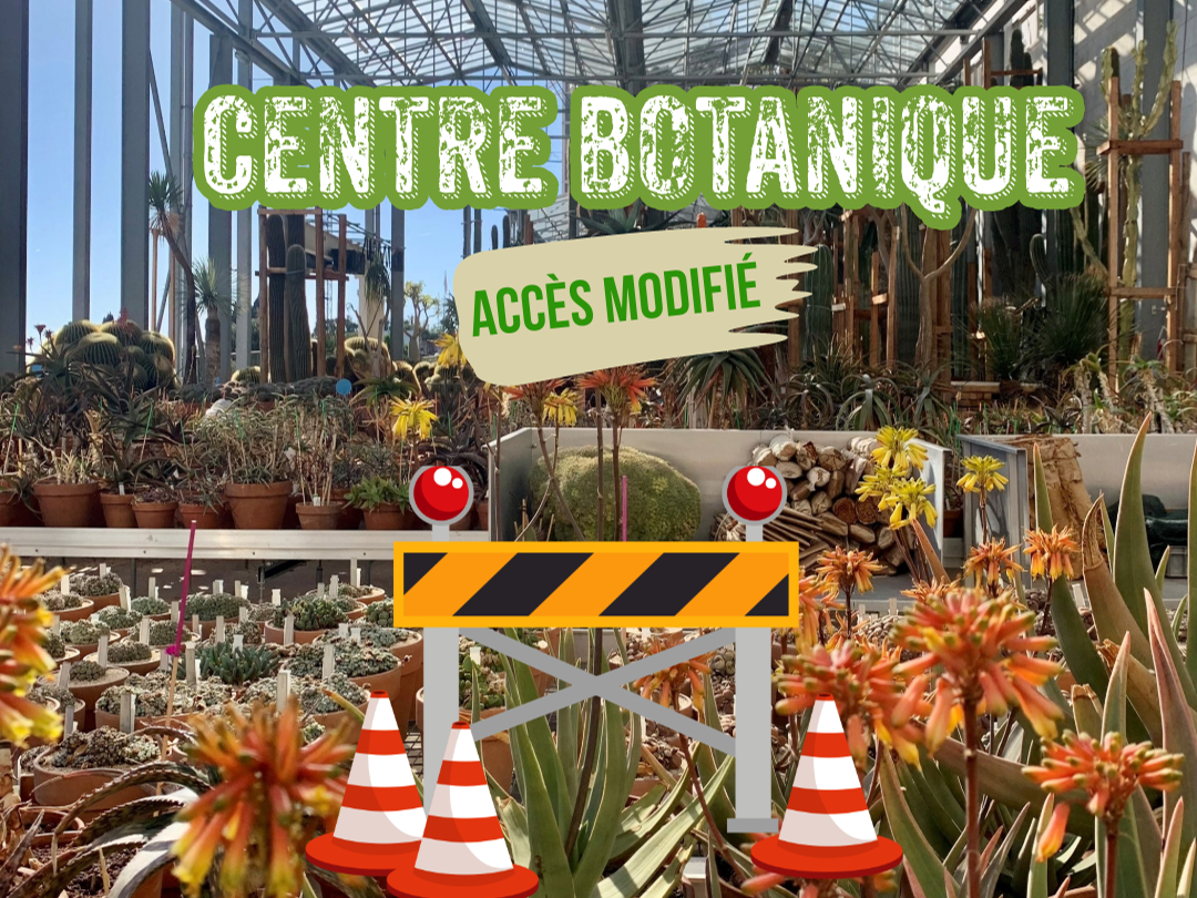 Aperçu de l'actualité Modification de l'accès au Centre Botanique