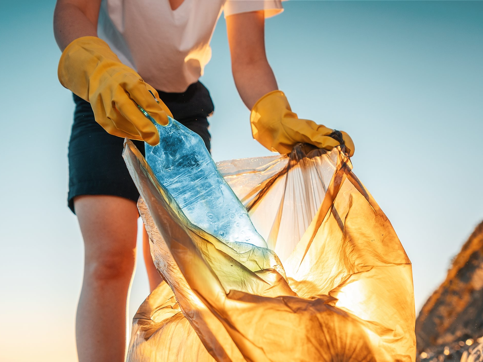 Aperçu de l'actualité La Mairie participe à la Journée mondiale du nettoyage de la planète